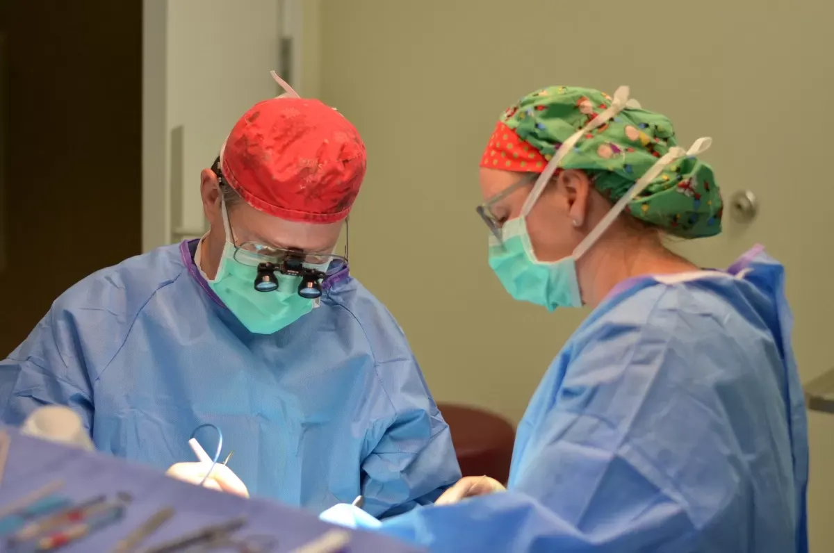what to expect before and after nose job surgery